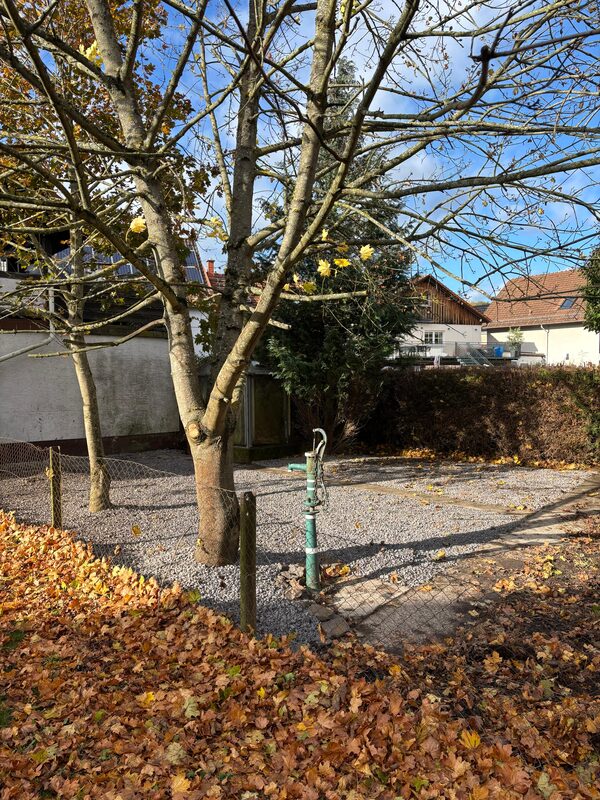 Aufbereiteter Vorgarten mit frisch verlegtem Splitt nach allgemeiner Gartenpflege