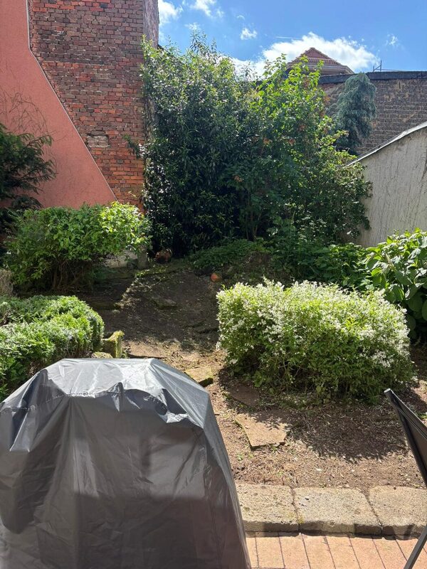 Aufgeräumter Sommergarten mit getrimmten Büschen